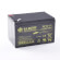 12V 12Ah Batteria, Batteria Piombo-Acido (AGM), B.B. Battery EP12-12, 151x98x94 (LxLAxA), Terminale T2 Faston 250 (6,3 mm)